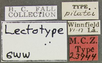 Media type: image;   Entomology 23944 Aspect: labels